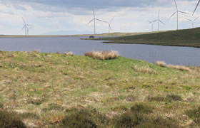 Renewable Energy Projects